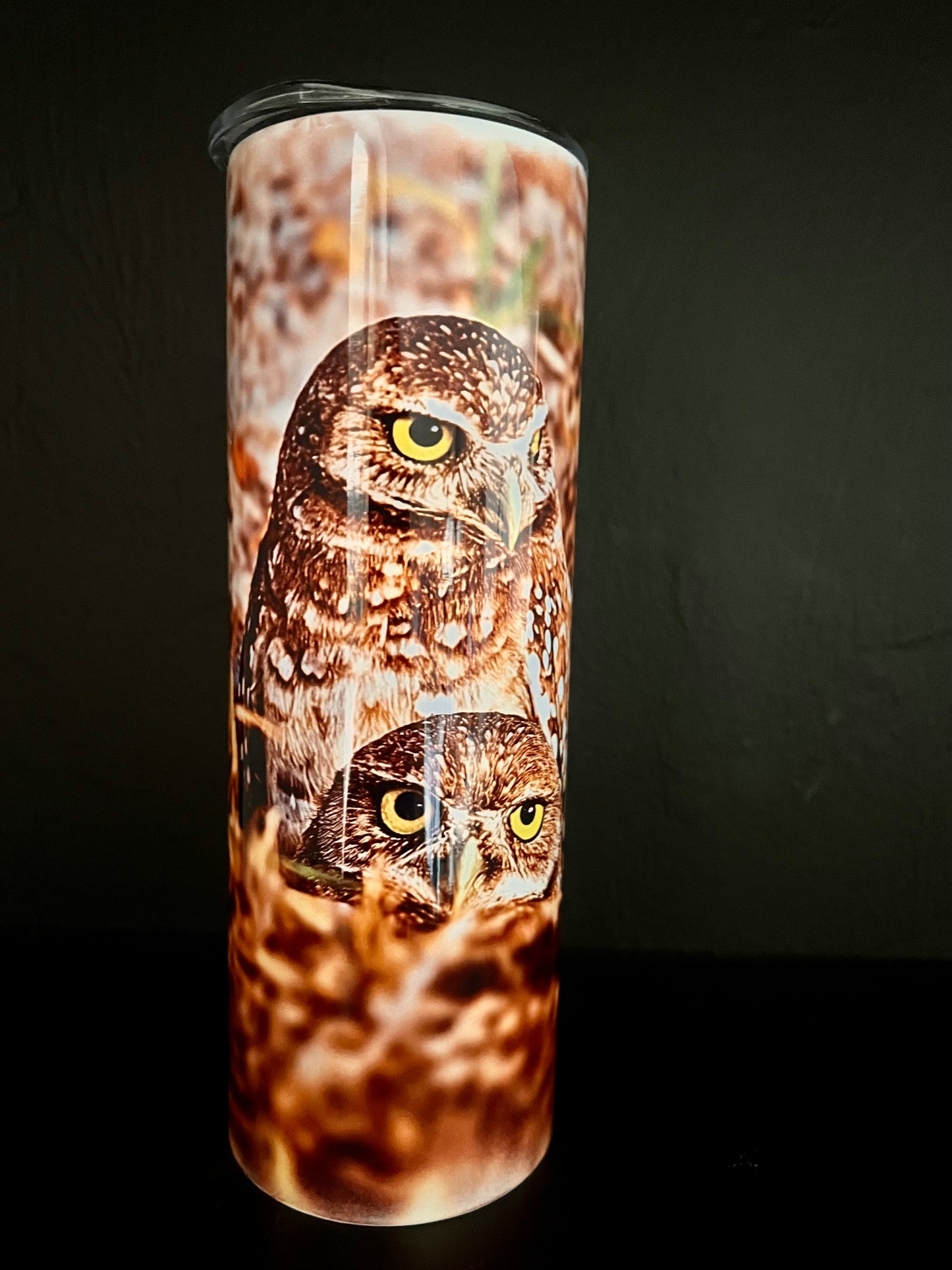 Burrowing Owls