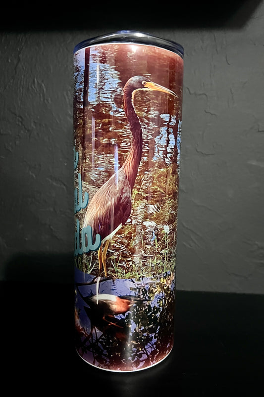 Florida Wildlife